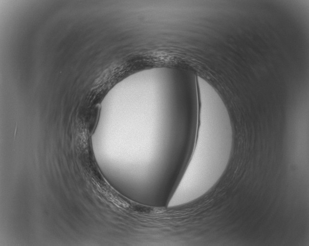 X0000086060613200703230949