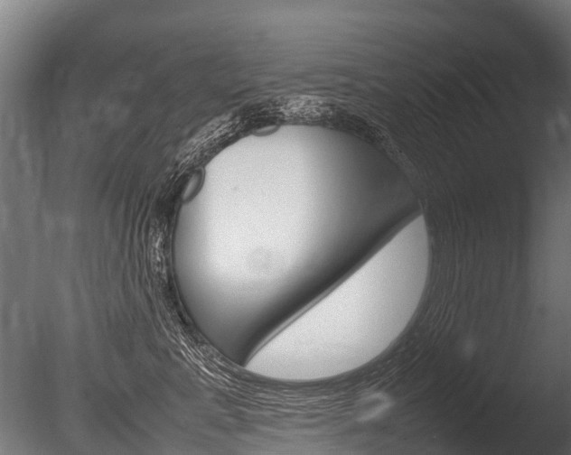 X0000086060619200703230949