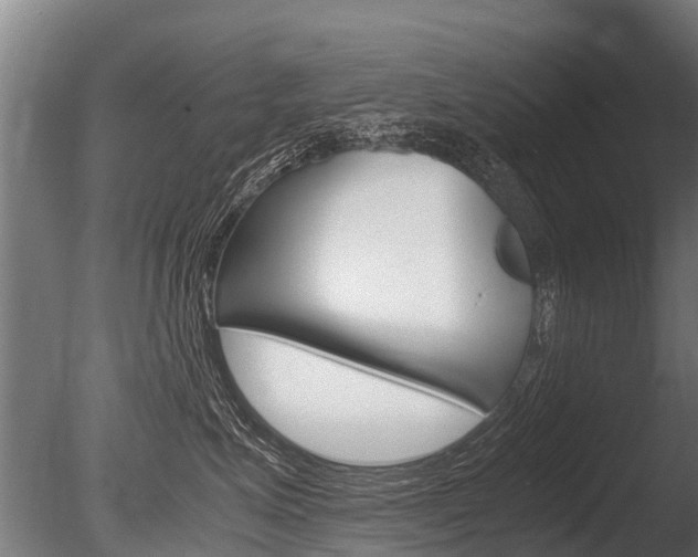X0000086060623200703230948