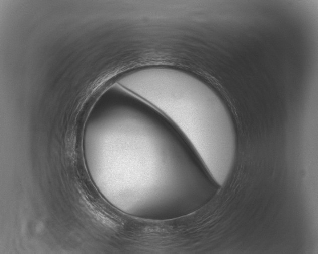 X0000086060627200703230948