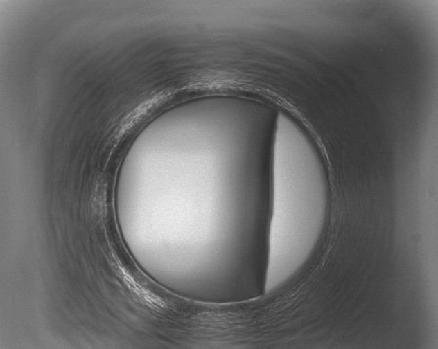 X0000086060629200703230948