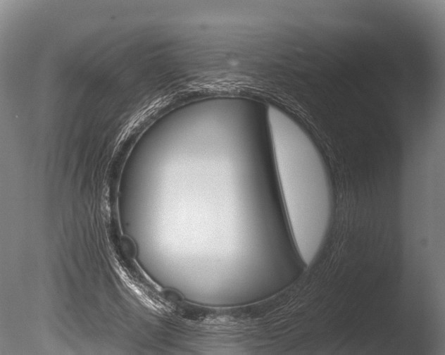 X0000086060634200703230948