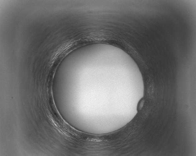 X0000086060635200703230948