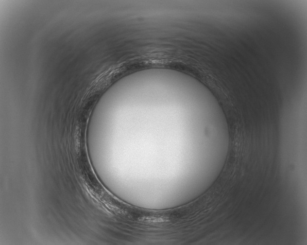 X0000086060639200703230948