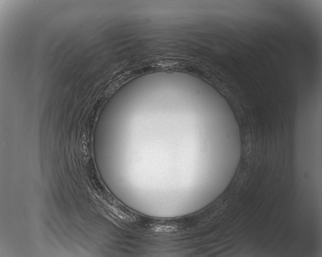 X0000086060653200703230948