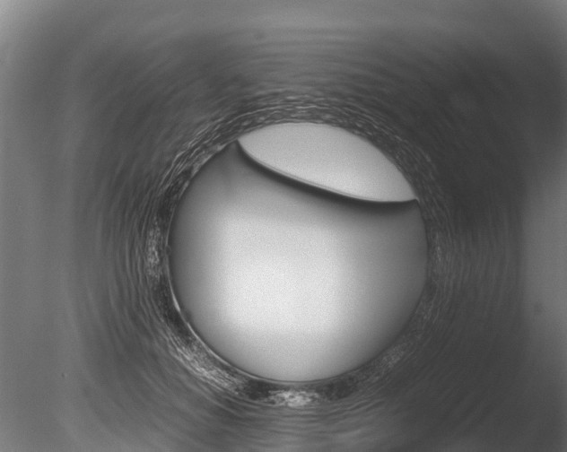 X0000086060654200703230948
