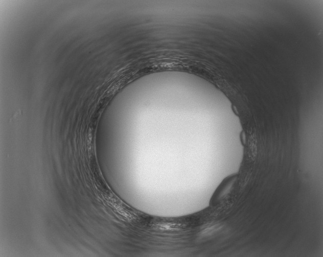 X0000086060657200703230948