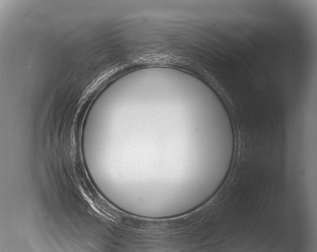 X0000086060674200703230948