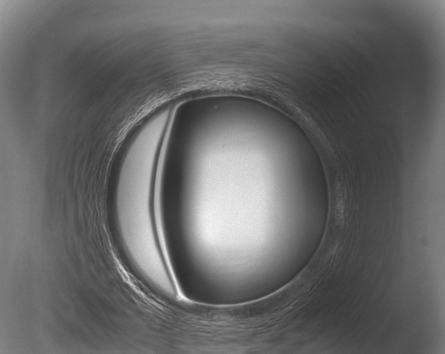 X0000086060677200703230948