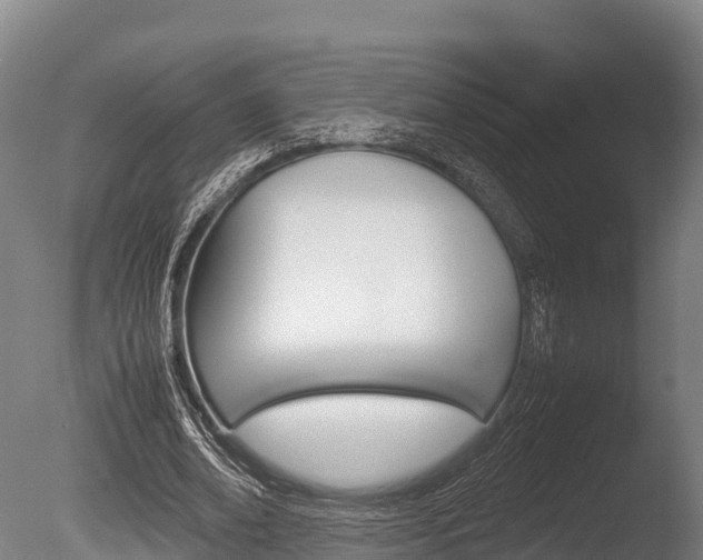 X0000086060678200703230948