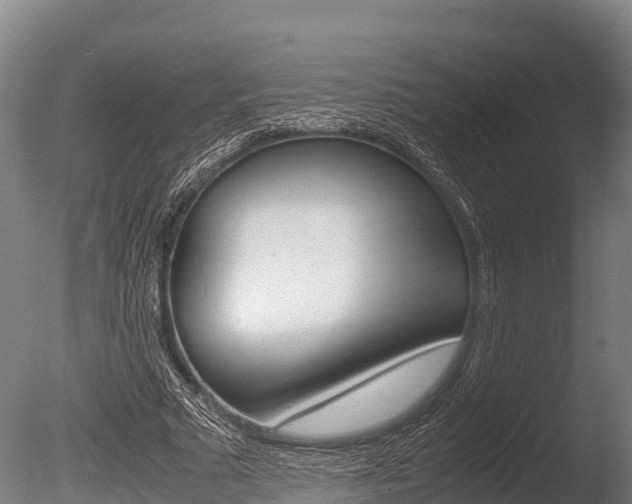 X0000086060681200703230947
