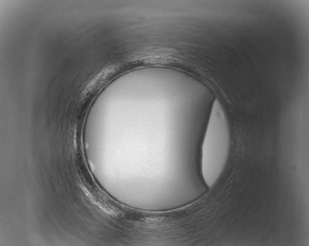 X0000086060686200703230947