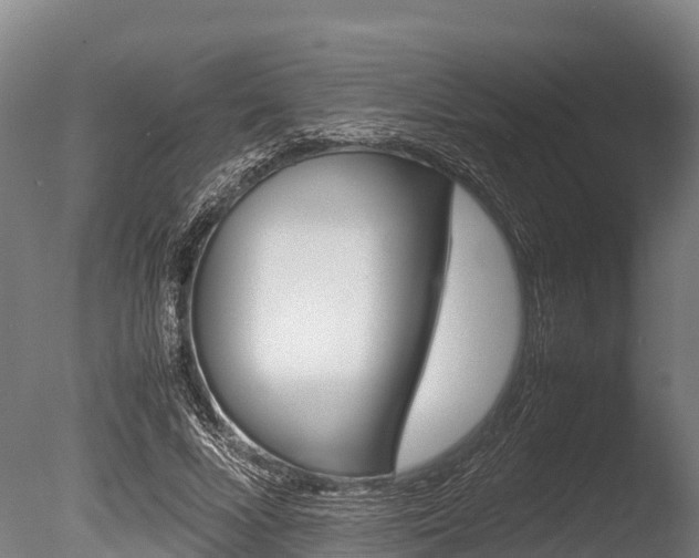 X0000086060688200703230947