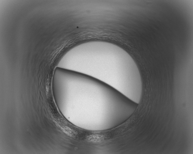 X0000086060691200703230947