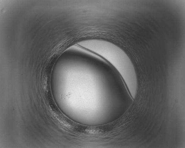 X0000086060693200703230947