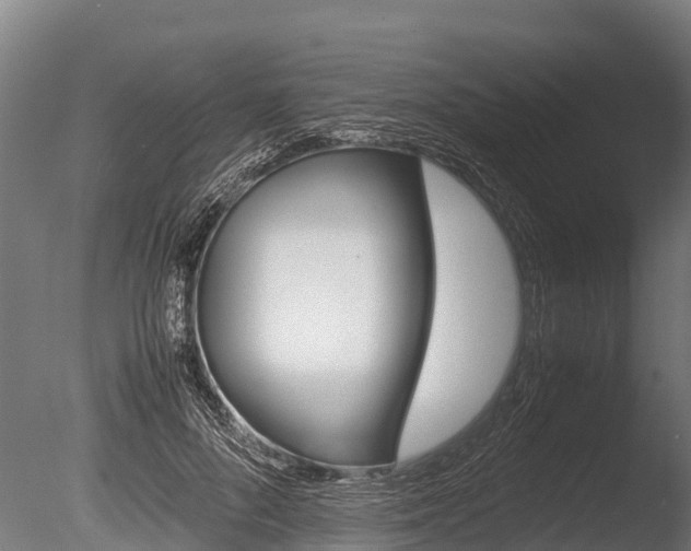 X0000086060696200703230947