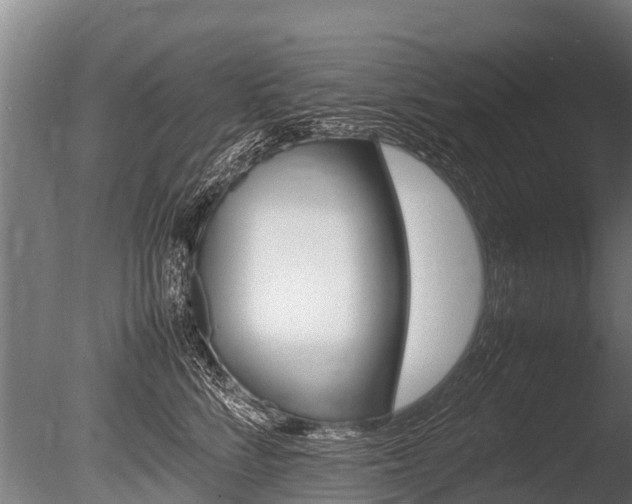 X0000086060712200703230947