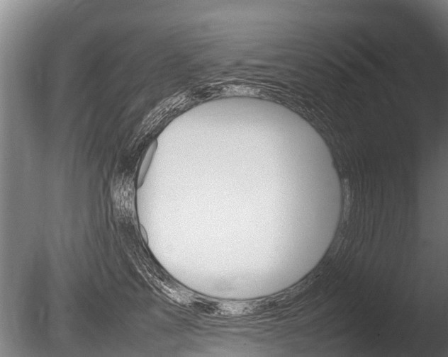 X0000086060713200703230947