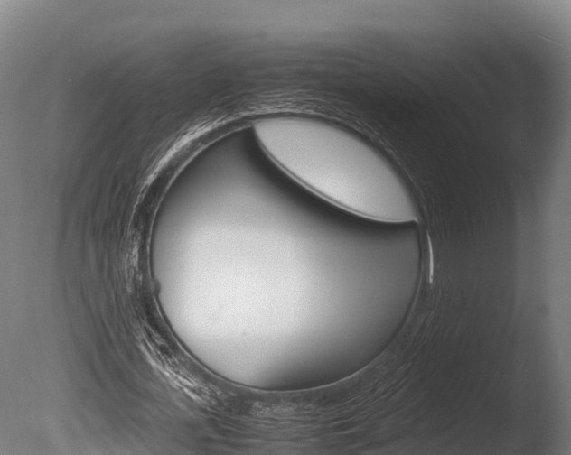 X0000086060723200703230946