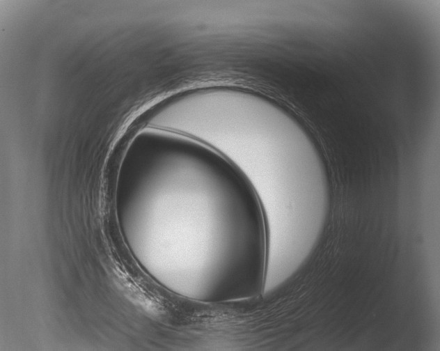 X0000086060724200703230946