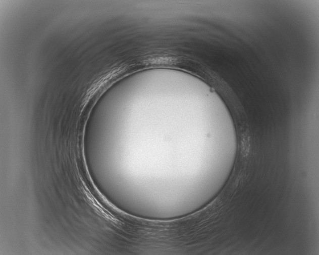 X0000086060725200703230946