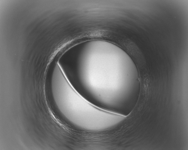 X0000086060728200703230946