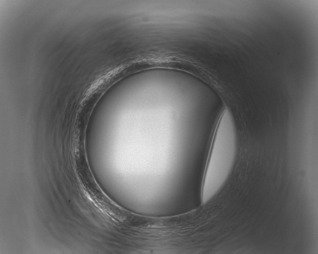 X0000086060732200703230946