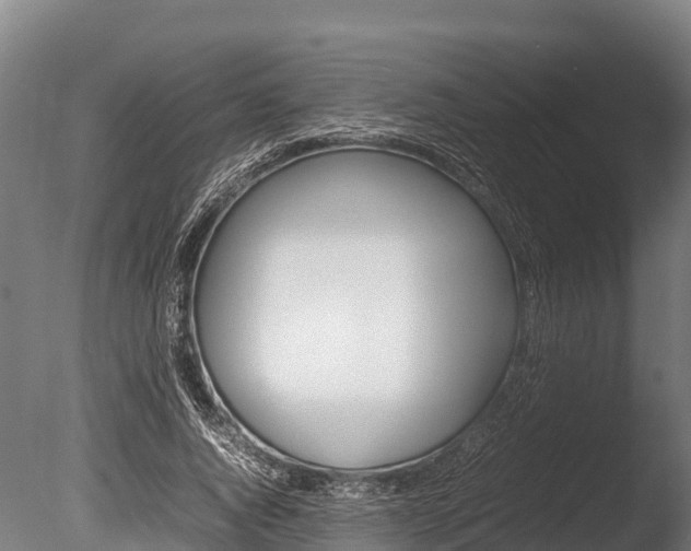 X0000086060736200703230946