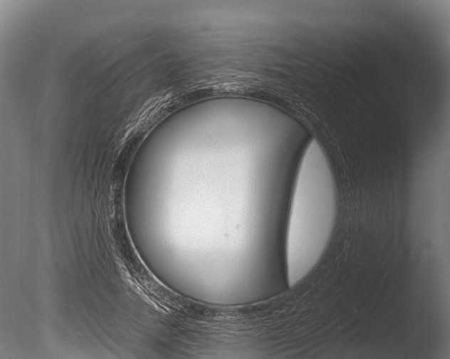 X0000086060738200703230946