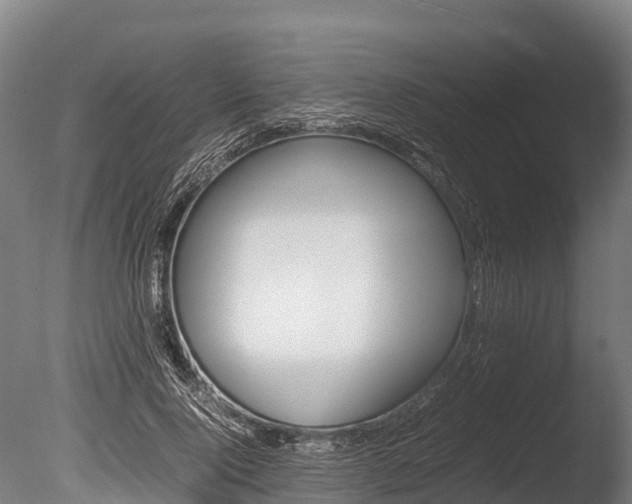 X0000086060740200703230946