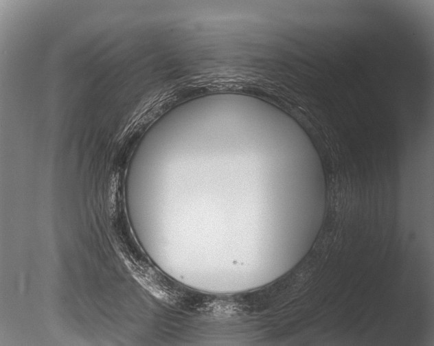 X0000086060742200703230946