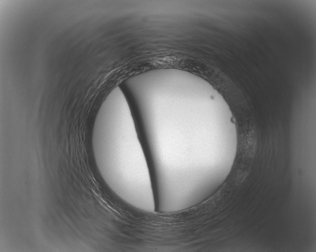 X0000086060749200703230946