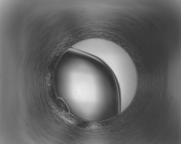X0000086060750200703230947
