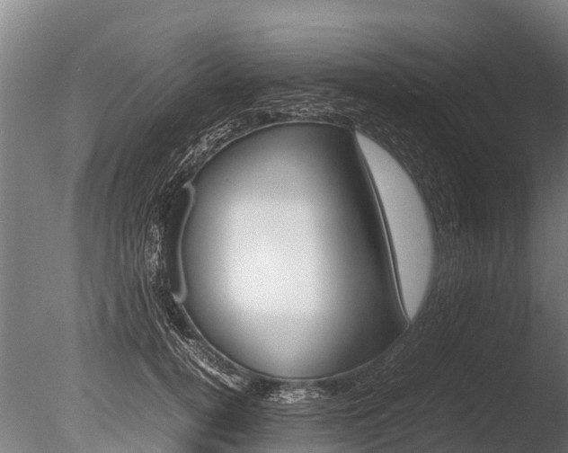 X0000086060752200703230947