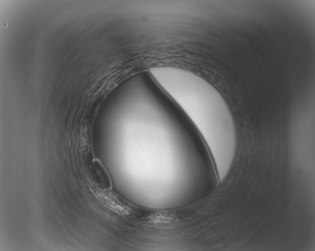 X0000086060756200703230947