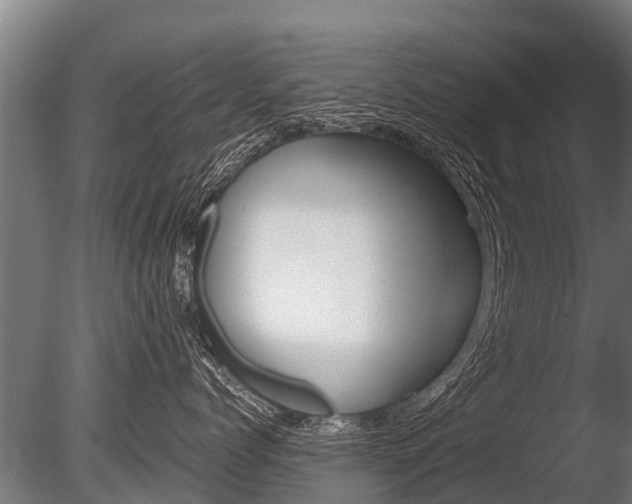 X0000086060768200703230947