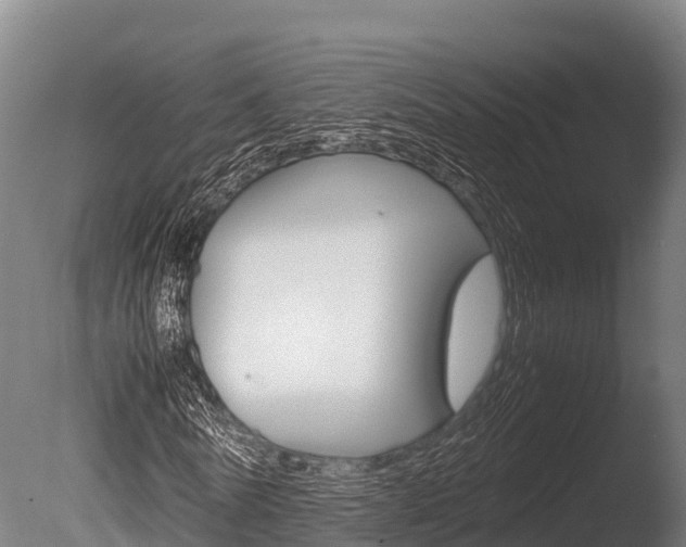 X0000086060770200703230946