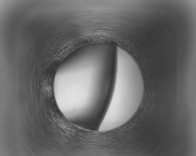 X0000086060771200703230946