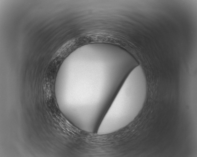 X0000086060774200703230946