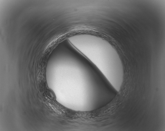 X0000086060775200703230946