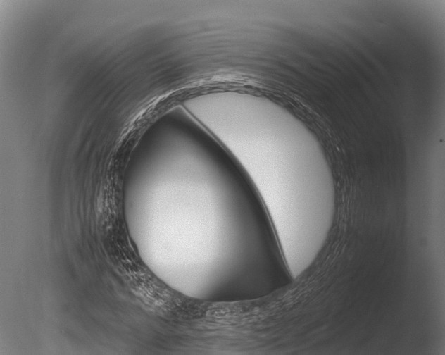 X0000086060776200703230946