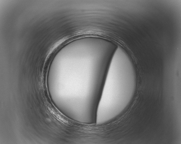 X0000086060780200703230946