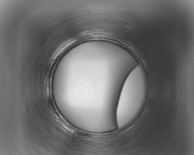 X0000086060782200703230946