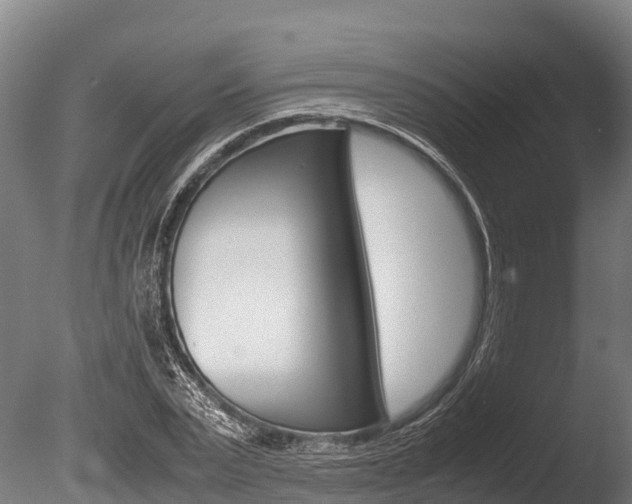 X0000086060783200703230946