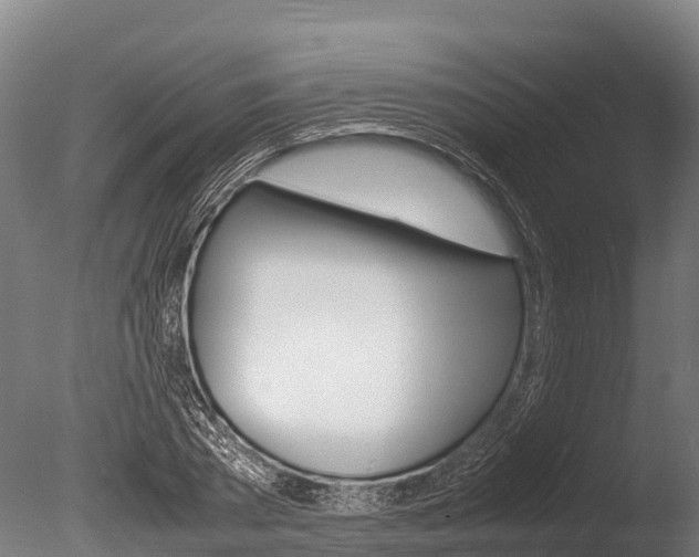 X0000086060785200703230946