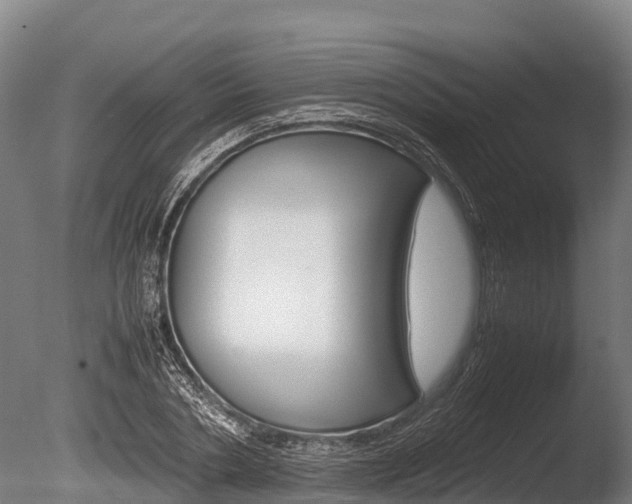 X0000086060786200703230946