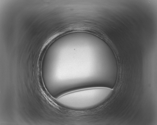 X0000086060787200703230946