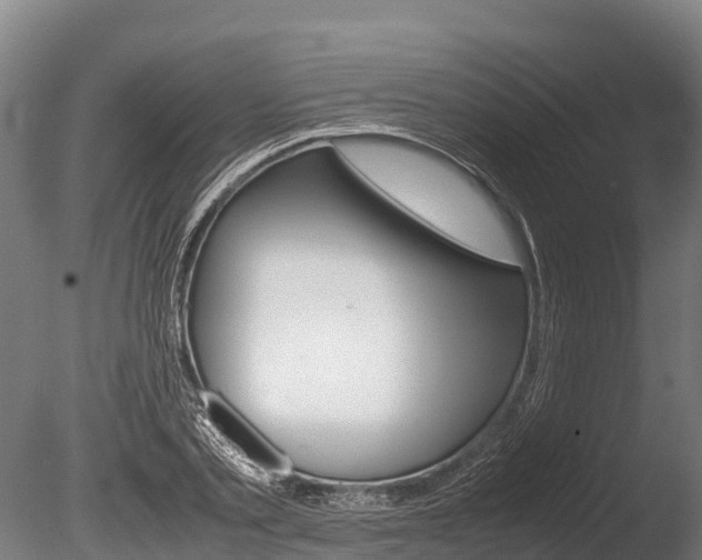 X0000086060789200703230946