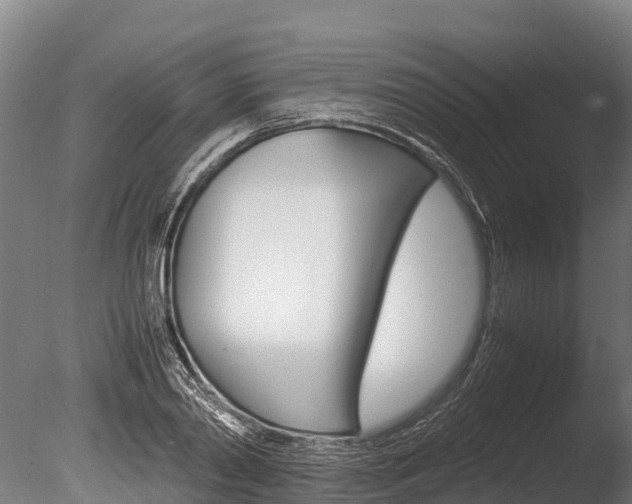 X0000086060790200703230946