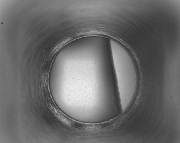 X0000086060793200703230946
